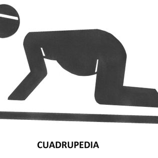 cuadrupelia
